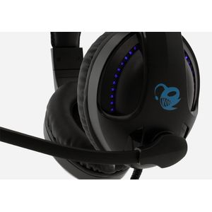 DG-AUM-B04-Galeria-2