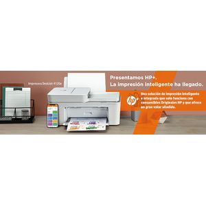 26Q90B-Galeria-12