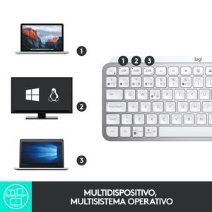 920-010491-Galeria-11
