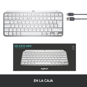 920-010491-Galeria-14
