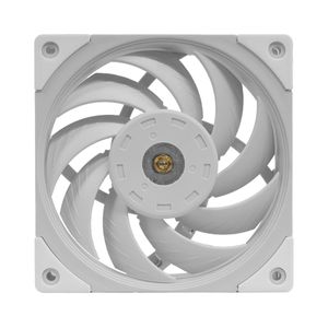 MFNCW-Galeria-1