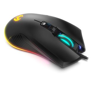 NXKROMKRSHRSP-Galeria-11