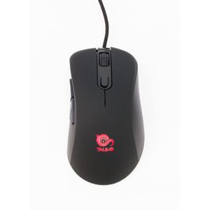 TAL-GKITV2-Galeria-2