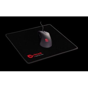 TAL-GKITV2-Galeria-8