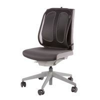 Miniatura 3 de ERGONOMIC MESH BACK SUPPORT
