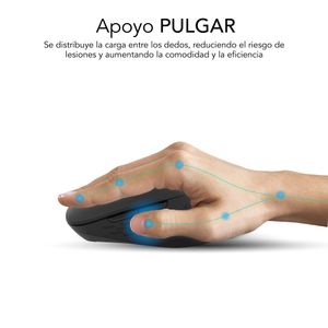 SUBMO-EDCUR01-Galeria-5