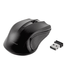 RATON-VIVANCO-36639-AIT-MS-RF-1000