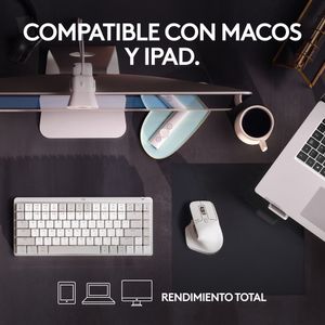 910-006572-Galeria-1