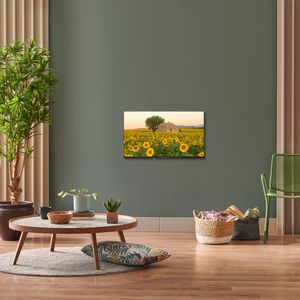 32HA2S13-Galeria-5