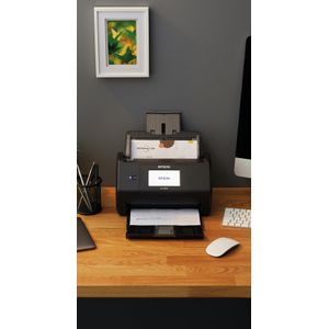 B11B258401-Galeria-17