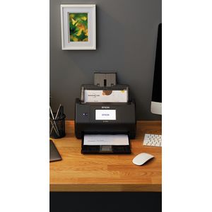 B11B258401-Galeria-20