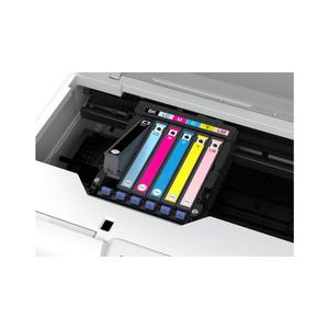 C11CK89402-Galeria-6