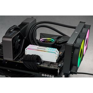 CMT32GX5M2B5600C36W-Galeria-3