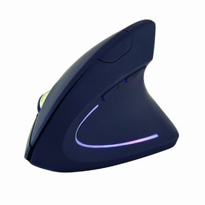 MUS-ERGO-01-Galeria-2
