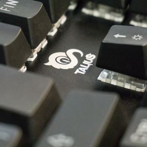 TAL-KIMERA-Galeria-11