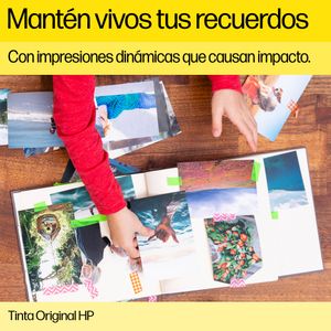 C9518A-Galeria-7