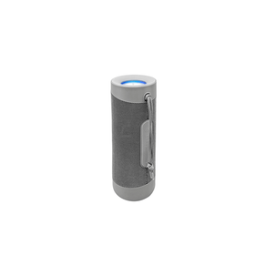Denver-Altavoz-BTV-208G-GREY