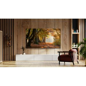 55P61B-Galeria-5