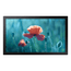 MONITOR-SAMSUNG-QB13R--QBR-13--ADS-1920-x-1080-HDMI