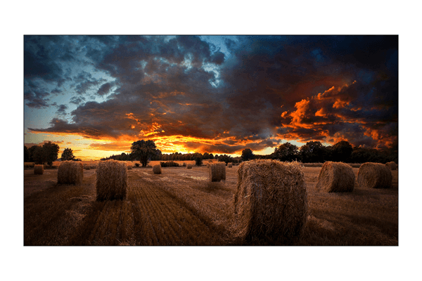 samsung lh46vmbubgbxen   46  lcd ips full hd hdmi