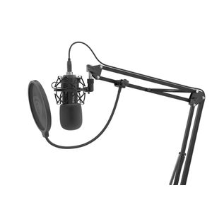 NGM-1377-Galeria-13