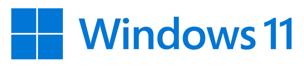 WIN 11 PRO 64BIT SPANISH 1PK DSP OEM DVD