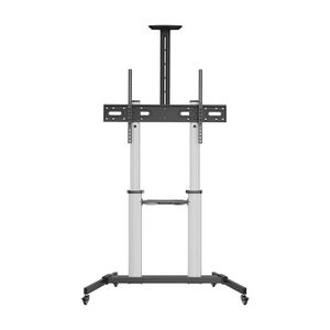 FT100TE-259-Galeria-2