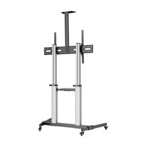 FT100TE-259-Galeria-3