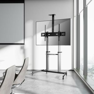 FT100TE-259-Galeria-5