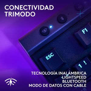 920-012559-Galeria-5