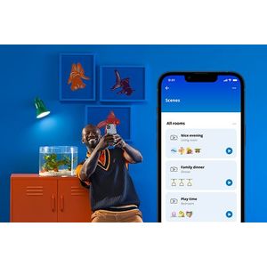 8720169071216-Galeria-6