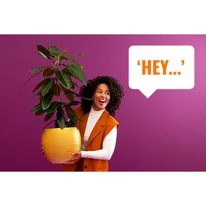 8720169071216-Galeria-9