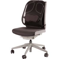Miniatura 3 de RESPALDO LUMBAR MESH PROFESS FELLOWES 8029901