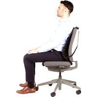 Miniatura 6 de RESPALDO LUMBAR MESH PROFESS FELLOWES 8029901