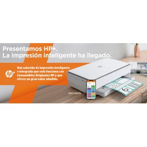 223N4B-Galeria-12