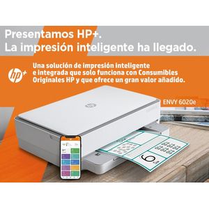 223N4B-Galeria-21