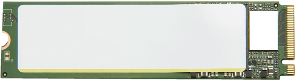 1TB PCIe 2280 NVMe Val M.2 SSD Mod