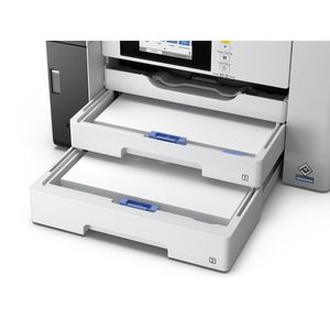 C11CJ41405-Galeria-36