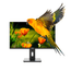 MONITOR-NILOX-Monitor-de-24--Regulable-Full-HD-HDMI-DP-y-VGA---24--VA-1920-x-1080-HDMI-VGA