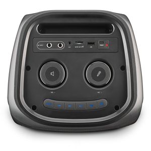 WILDTEMPER-Galeria-5