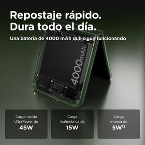 PB1T0004SE-Galeria-20