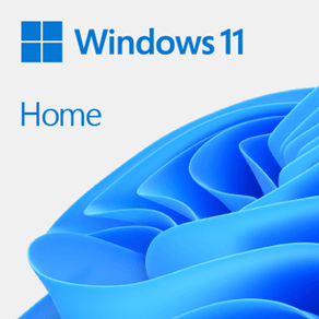 WINDOWS HOME 11 32/64BIT ESP PKC