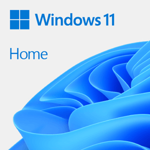 WINDOWS HOME 11 32/64BIT ESP PKC