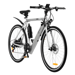 MOVILIDAD-BICICLETA-ELECTRICA-YOUIN-YOURIDE-NEW-YORK-28O-SILVER