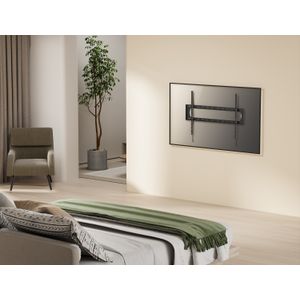 650338-Galeria-6