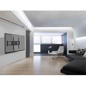 650341-Galeria-5