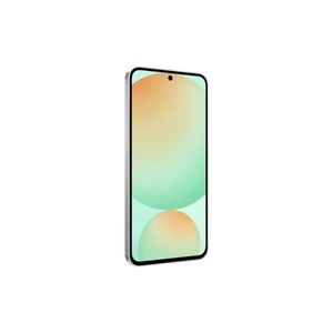 S24-FE-256GB-LIGHT-GREEN-Galeria-5