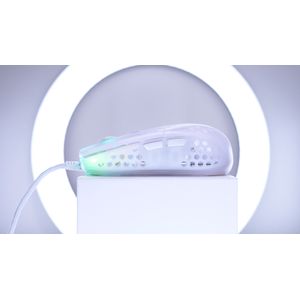 MZ1-RGB-WHITE-TP-Galeria-1