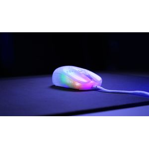 MZ1-RGB-WHITE-TP-Galeria-5
