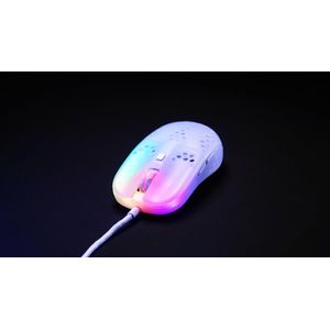 MZ1-RGB-WHITE-TP-Galeria-7